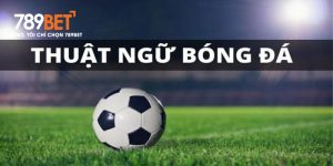 thuat-ngu-bong-da-789bet